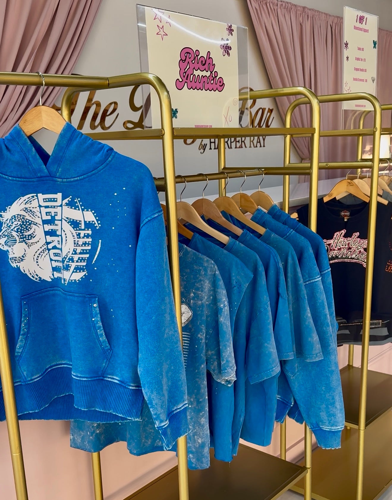Lion’s Hoodie